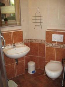 un bagno con lavandino e WC di Haus Birkenallee Reckleben GM 69705 a Graal-Müritz Altre 23 foto