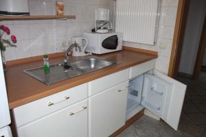 una cucina con lavello e microonde di Haus Birkenallee Reckleben GM 69705 a Graal-Müritz