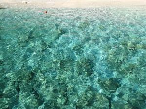 una gran piscina de agua azul clara en una playa en Da Fra e La, en Girasole