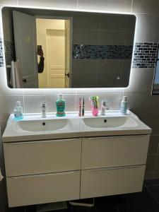ein Badezimmer mit einem weißen Waschbecken und einem Spiegel in der Unterkunft Villa*proche Aeroport et gares . in Viry-Châtillon