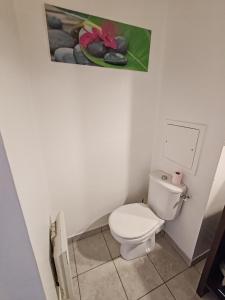 a bathroom with a toilet with a painting on the wall at Studio Disneyland Paris 10min/Val d'Europe 5min/Wifi/TV in Montévrain
