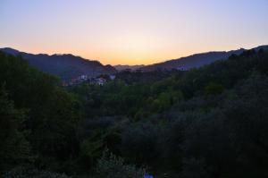 Blick auf einen Wald mit Bäumen bei Sonnenuntergang in der Unterkunft Luce Stellata in Serralta