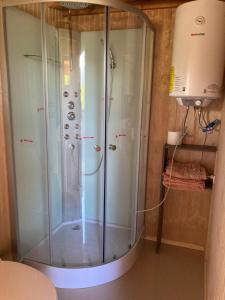 a shower with a glass door in a bathroom at Cabañas Manquel in Antuco