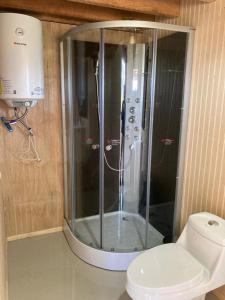 a glass shower in a bathroom with a toilet at Cabañas Manquel in Antuco