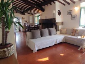 a living room with a white couch and a plant at Podere I Rovai-apt IL RIFUGIO- in the heart of Tuscany in Reggello