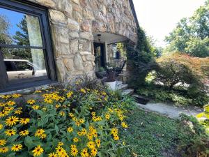 a bunch of yellow flowers in front of a house at Asheville Urban Farmhouse Entire Home 4 mi to DT in Asheville