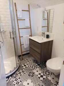 a bathroom with a shower and a sink and a toilet at Le clos du prieuré in Montjean-sur-Loire