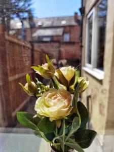 um ramo de rosas amarelas num vaso em Kenrick Street Affordable Convenient 2 Bedroom House Central Location Sleeps 6 NG4 Postcode em Nottingham