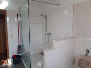 uma casa de banho com um chuveiro e um WC. em Vermietung Hänsel em Thiendorf