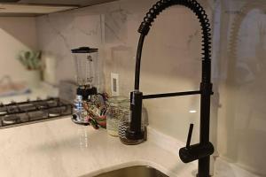 fregadero con grifo de cocina y encimera en Apartamento en la Roma Sur, céntrico, bellísimo., en Ciudad de México