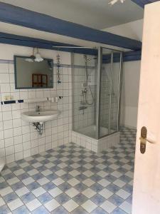 a bathroom with a shower and a sink at Ferienhaus Falkenlust (Hausteil Scheune) in Haundorf