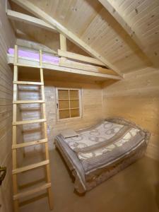 Andrijevica的住宿－Brvnara Gradišnjica，一间卧室配有一张双层床和梯子