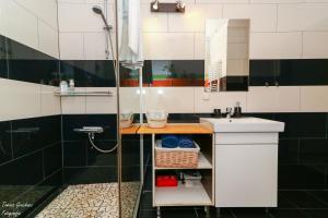 y baño con ducha y lavamanos. en Apartament Działkowa przy Parku, en Chorzów