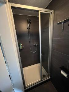 a shower with a glass door in a bathroom at Tiny House Black Pearl in Tettnang