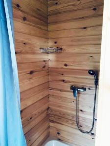 a bathroom with a wooden wall with a shower at Farma Náhlov in Frymburk