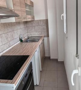 a kitchen with a sink and a counter top at Elvi Apartment 5 in Áyios Yeóryios