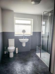 een badkamer met een toilet, een wastafel en een raam bij Central 2-bedroom bunglow with double sofa bed in Carnoustie