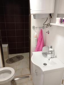 a bathroom with a toilet and a sink and a shower at Tića in Laćarak +11 photos