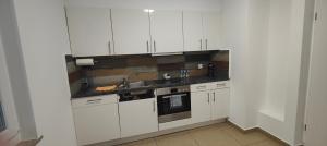 Kuchyň nebo kuchyňský kout v ubytování Gästehaus Spring + 10 fotografií