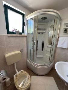 a bathroom with a shower and a toilet and a sink at Kuća za odmor Samograd in Žrnovo
