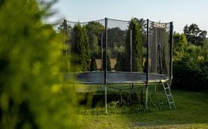 Stolní tenis v ubytování Silamalas nebo okolí