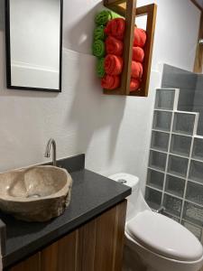 łazienka z umywalką i toaletą w obiekcie Casa Hummingbird Peace & Nature w mieście Palmares