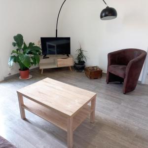 uma sala de estar com uma mesa e uma cadeira e uma televisão em Logement Cosy 58m2 centre ville em Perpignan