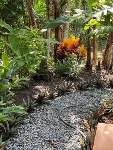 ogród z wężem ogrodowym leżącym na ziemi w obiekcie Casa Hummingbird Peace & Nature w mieście Palmares
