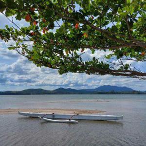 a boat sitting in the water under a tree at Gruta da Praia 1 in Saquarema