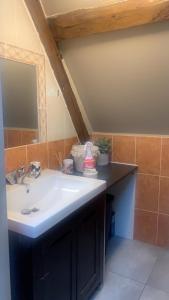 a bathroom with a sink and a mirror at Les Almadies private Jacuzzi in Villeneuve-les-Sablons