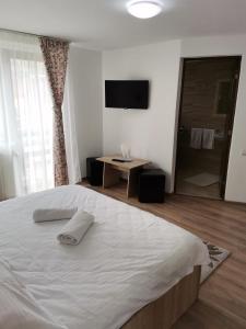 a bedroom with a large white bed and a television at VILA ALICE & DENIS in Bran