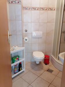 uma casa de banho com um WC e um lavatório em Apartman AVA, 2+3, 250m od plaže em Novi Vinodolski