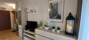a living room with a television and plants on a dresser at Apartament Orange Piastowska in Ostróda