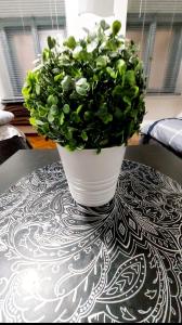 een plant in een witte vaas op een tafel bij Basilica Centrum Apartment Budapest in Boedapest