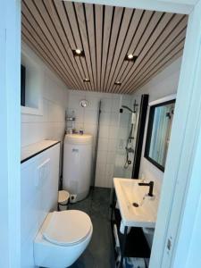 a small bathroom with a toilet and a sink at Efjord - magic nature in Ballangen