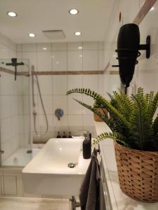 a bathroom with a sink and a potted plant at Wohlfühloase Köln II in Cologne