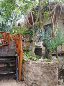 ogród z drewnianym mostem i roślinami w obiekcie Aldea Kinich w mieście Tulum