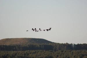 un grupo de aviones que vuelan en formación sobre una colina en Quincho Nativo en Tacuarembó