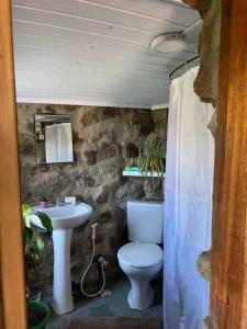 a bathroom with a toilet and a sink at Quincho Nativo in Tacuarembó
