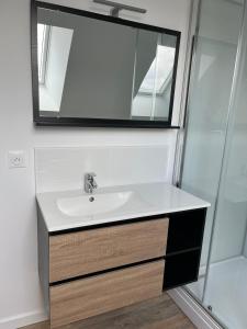 un baño con lavabo y espejo en La grange, en Plagne
