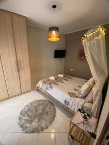 1 dormitorio con cama y alfombra en cozy apartment, en Volos