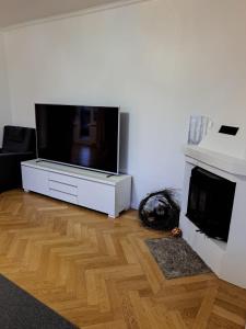a living room with a flat screen tv and a fireplace at Lägenhet på Rosenlund in Jönköping
