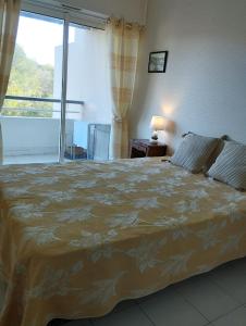 1 dormitorio con 1 cama grande y ventana grande en Saint-Raphaël Acquarine cove en Saint-Raphaël