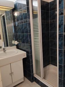 La salle de bains est pourvue d'une douche et d'un lavabo. dans l'établissement Saint-Raphaël Acquarine cove, à Saint-Raphaël