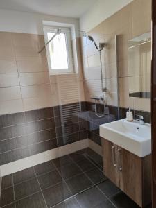a bathroom with a sink and a shower at Penzion Burda in Sepekov