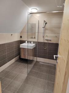 SepekovにあるPenzion Burdaのバスルーム(洗面台、ガラス張りのシャワー付)