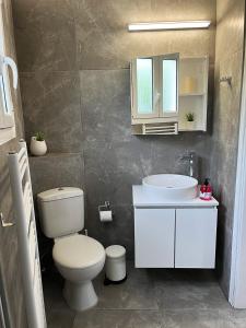 a bathroom with a white toilet and a sink at Ariadni's home - Einfamilienhaus mit Meerblick in Nea Stira
