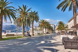 a street with palm trees and buildings on a sunny day at M&N Residence Tivat in Tivat