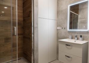 a bathroom with a sink and a shower at Apartmán u Výstaviště in Olomouc