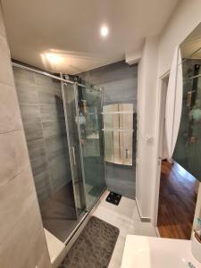 uma casa de banho com um chuveiro e uma porta de vidro em Read Well - Spare Double Bedroom in Cosy Appartment close to Convention Center in 15th District em Paris